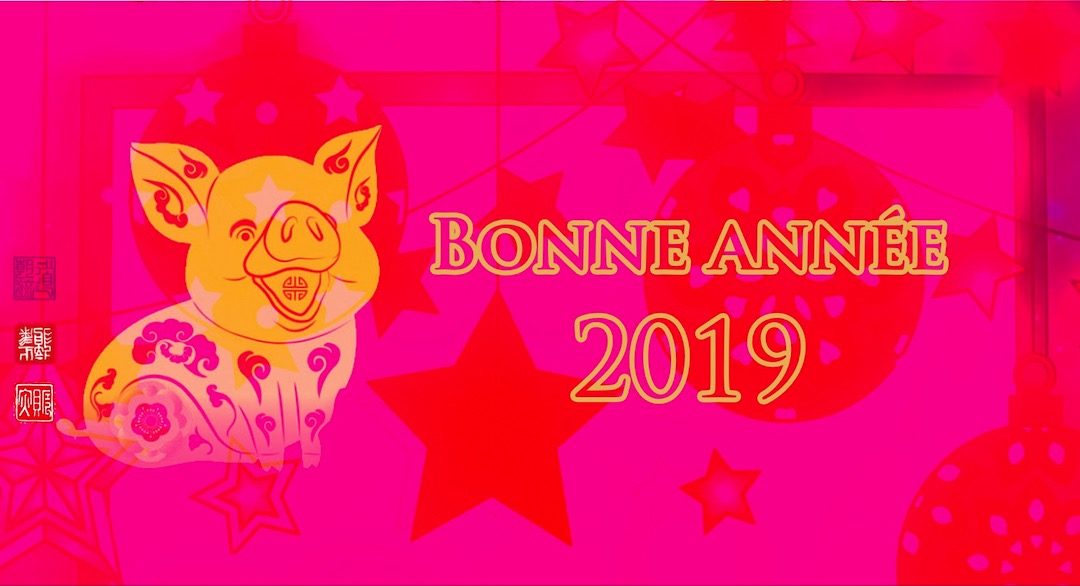 2019-ANNEE DU COCHON DE TERRE