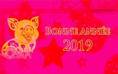 2019-ANNEE DU COCHON DE TERRE